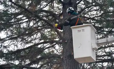 Así prepara Esquel sus barrios para evitar incendios antes del verano
