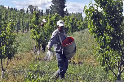 Salarios rurales en Misiones: los acuerdos siguen congelados y los trabajadores esperan respuestas