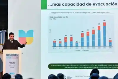 El plan de Neuquén para no depender solo de Vaca Muerta y conquistar a Chile y Brasil