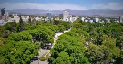 Mendoza cambia las reglas del juego: ya no se podrá plantar cualquier árbol en la calle