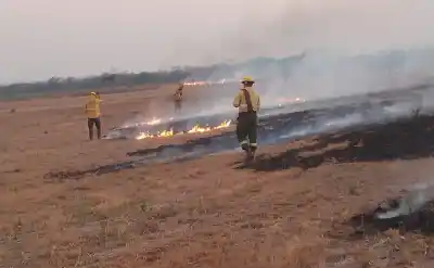 Alerta en Jujuy: el fuego avanza y el riesgo de incendios se vuelve extremo