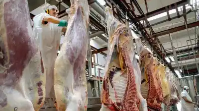 El dólar carne: las exportaciones bajaron en julio pero el precio por tonelada sigue en récord