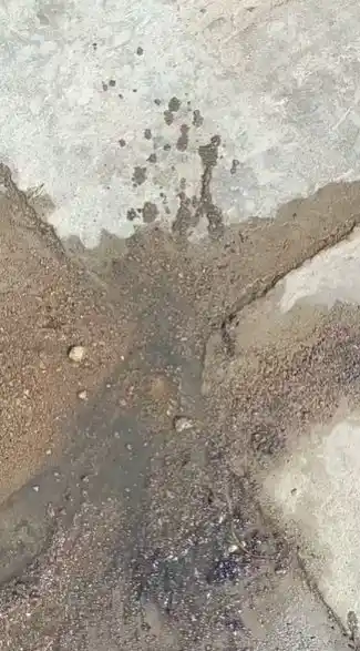 Denuncia en el 920 Viviendas: la pérdida de agua que nadie arregla y el riesgo oculto que preocupa
