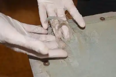 La bandera centenaria de Oberá que espera su restauración: qué encontraron los expertos