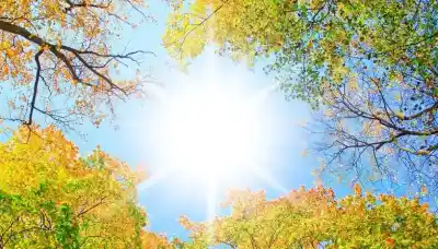 El calor vuelve con todo: las temperaturas trepan hasta 30°C este miércoles