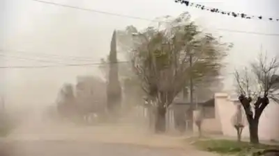 Viento Zonda en San Juan: Naturgy reveló el número clave para emergencias y las medidas que pueden salvar vidas