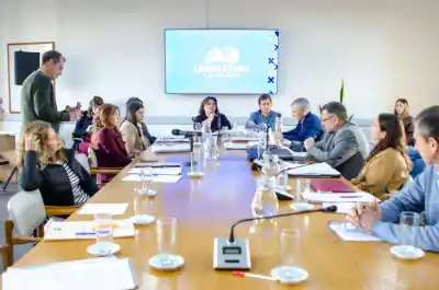 Salud Mental, tránsito y cooperativismo: los proyectos que avanzaron en Diputados