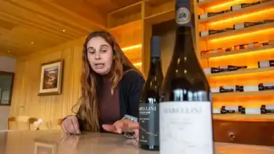 El secreto patagónico que convierte al Pinot Noir en una joya de los viñedos neuquinos