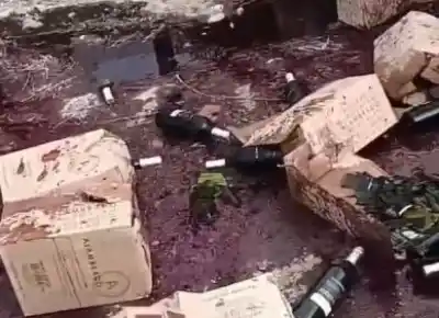 Volcó un camión de vinos en pleno barrio y la reacción de los vecinos sorprendió a todos