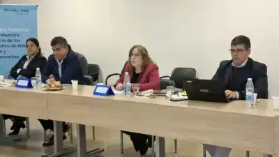 Definieron la agenda anual del Consejo de Niñez y Adolescencia: la Ley Penal Juvenil, en el centro