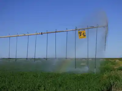 El Eprc abre la primera venta de tierras bajo riego en 25 de Mayo: ¿qué proyectos pueden presentarse?