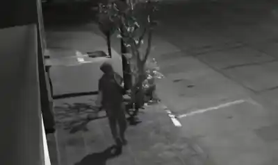 Robo en plena madrugada: desvalijaron un comercio en Güemes al 1500 con varios viajes
