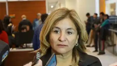 El dolor que une a la comunidad educativa: murió la hija de la secretaria general de UDAP