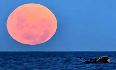 Eclipse lunar: cómo y dónde ver la Luna de Sangre en Puerto Madryn