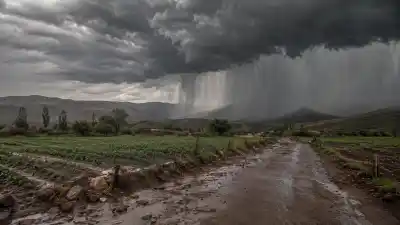 El Niño golpea Jujuy: qué regiones sufrirán lluvias torrenciales y sequía extrema