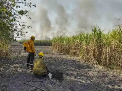 Las quemas no cesan y Monteros respira humo