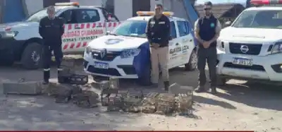 Secuestro de aves silvestres en Tanti: el operativo que sorprendió a todos