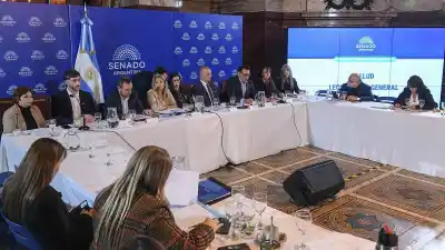 Tras el rechazo de 18 provincias, LLA insiste con la reforma de Salud Mental: ¿qué cambia?