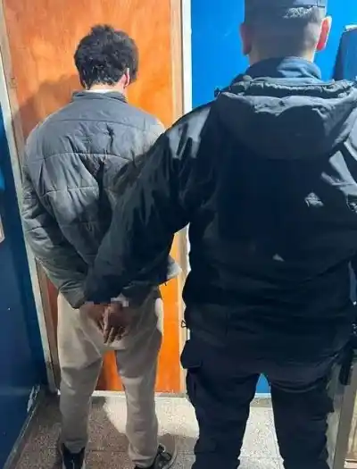 Intentó escapar en bicicleta y terminó chocando contra un árbol: la insólita secuencia que terminó con dos detenidos