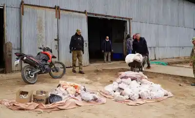 Cayó un frigorífico clandestino en La Pampa: seis detenidos y más de una tonelada de carne decomisada