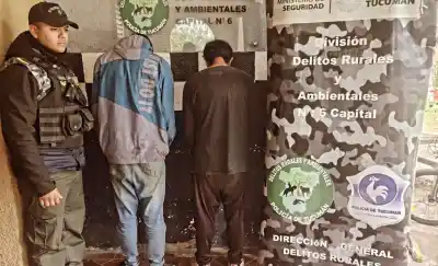 Maltrato animal en Los Pocitos: dos hombres fueron detenidos tras una persecución por golpear a un caballo