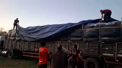 Casi 2.900 kilos de hojas de coca secuestrados en Monte Quemado: el cargamento tenía un destino secreto