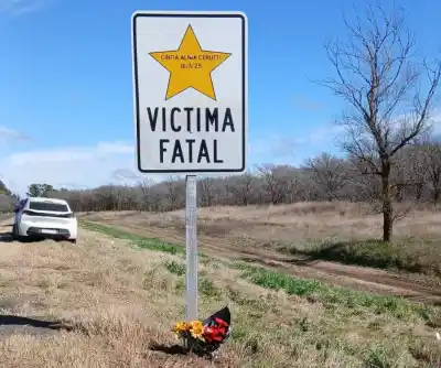 Rutas nacionales: la dura advertencia de Estrellas Amarillas sobre el traspaso a las provincias