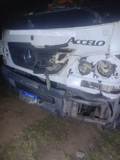 Un camión embistió a una vaca en Machagai y el animal murió en el acto