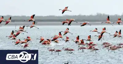 Secretos ocultos en las aguas de Córdoba: tres leyendas que siguen vivas