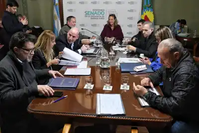 Reforma electoral en Provincia: qué cambiará en las boletas, las PASO y las reelecciones