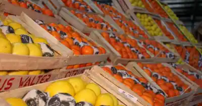 Nuevo horario para comprar frutas y verduras directo del productor en Santa Cruz