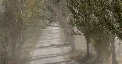 Viento Zonda en Mendoza: la advertencia de Vialidad que pocos quieren escuchar