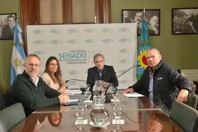 Adiós al papel: el plan del Senado bonaerense que busca modernizar trámites y agilizar la gestión