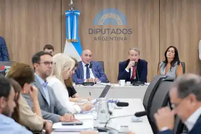 Reforma de glaciares: la polémica maniobra de Diputados ante una avalancha de 70 mil inscriptos