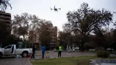Plaza España: así es el revolucionario plan de drones que cuida los árboles de Ciudad