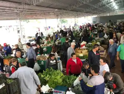 El secreto detrás de las 74 ferias que alimentan a Misiones y cumplen 31 años