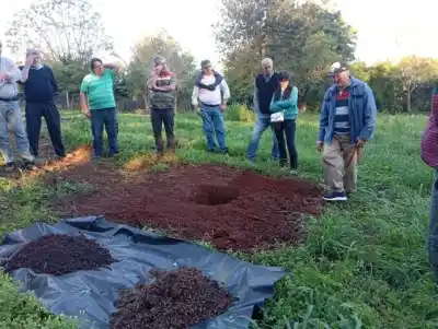 Bambú en Misiones: la capacitación que busca transformar las chacras de Apóstoles