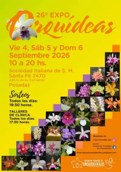 Orquídeas en Posadas: la Expo que promete resolver los misterios de tus plantas