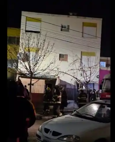 Rescató a sus mascotas entre las llamas, pero el fuego arrasó con su casa y su negocio en Chubut