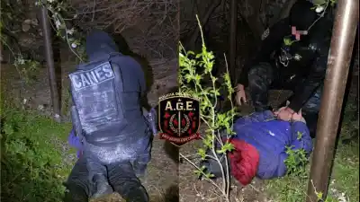 Escaló por el techo y se escondió en los arbustos: la policía lo encontró por un llamado al 911