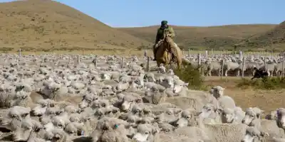 El campo de Chubut estalla: más de 20 reuniones y ni una sola solución para la producción