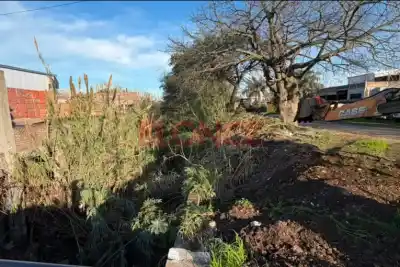 Detectaron 137 puntos con residuos en el arroyo Colorado: cuál es el plan para evitar inundaciones
