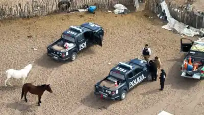 Descubrieron un matadero clandestino con restos de pumas y pecaríes en Lavalle