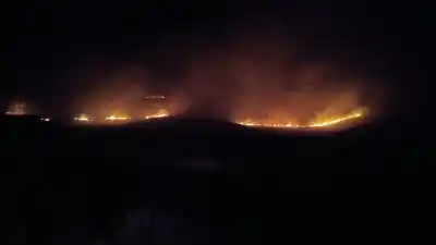El fuego acechó La Carolina: el operativo que evitó una tragedia