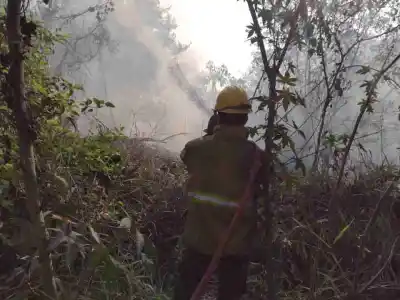 Incendio en León Rouges puso en riesgo a casas cercanas