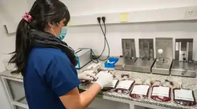 Neuquén suma 103 residentes sanitarios: ¿qué cambios trae la nueva ley?