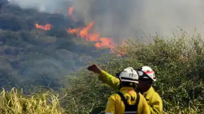 Alerta en Córdoba: el riesgo de incendios forestales llega a su punto más crítico este miércoles