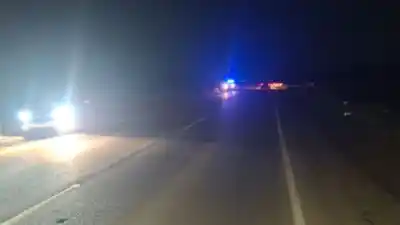 Un potrillo se cruzó en la ruta 39 y el impacto dejó destrozos