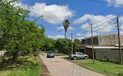 Un perro apareció muerto en la calle con un orificio en la cabeza y los vecinos hablan de un disparo