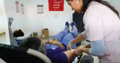El drama oculto del dengue en Salta: por qué piden donar plaquetas antes de que sea tarde